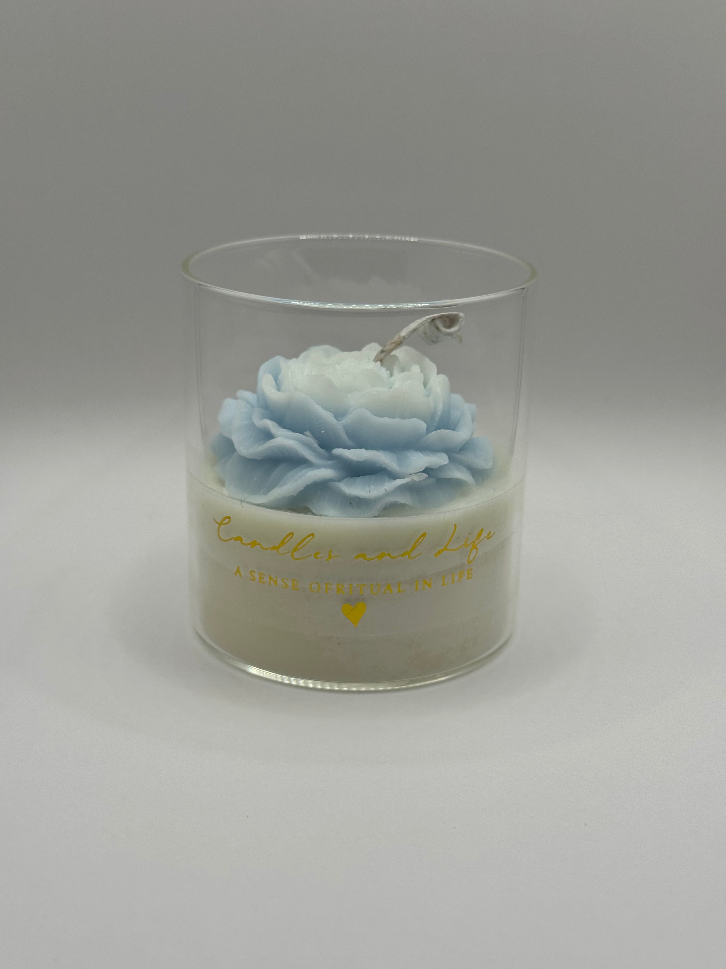 Pioenroos Geurkaars 25/30 Branduren